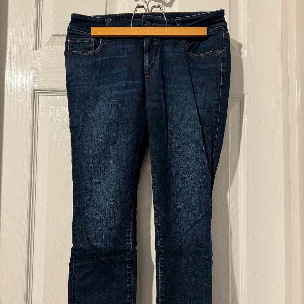 Ann Taylor Skinny Jean, 4P